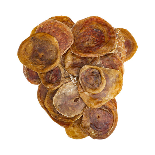 All-Natural 3”-4” Beef Bladder Disc Dog Treats