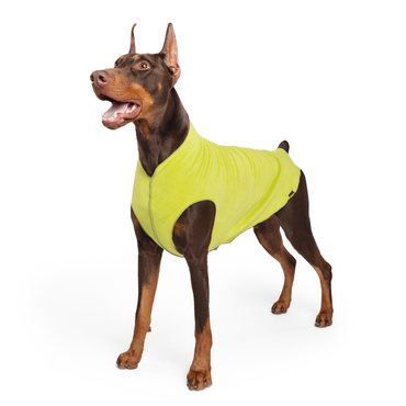 Goldpaw Stretch Fleece