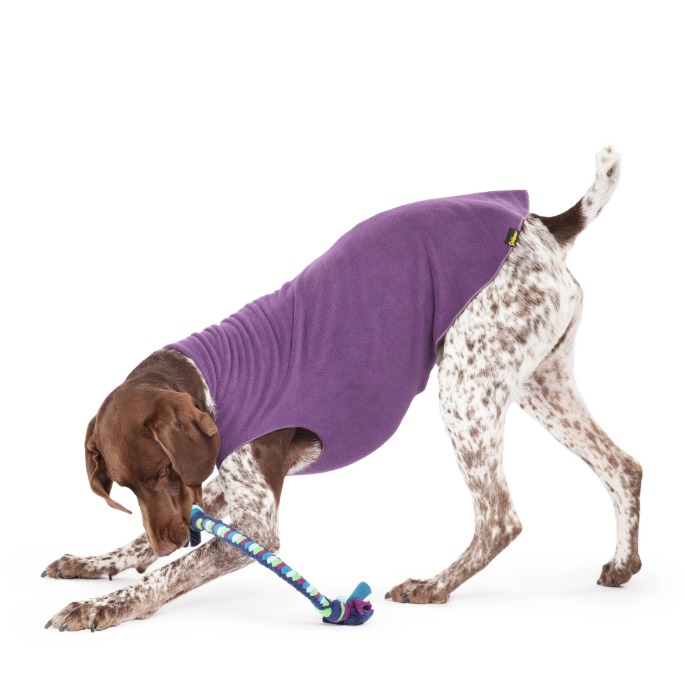 Goldpaw Stretch Fleece