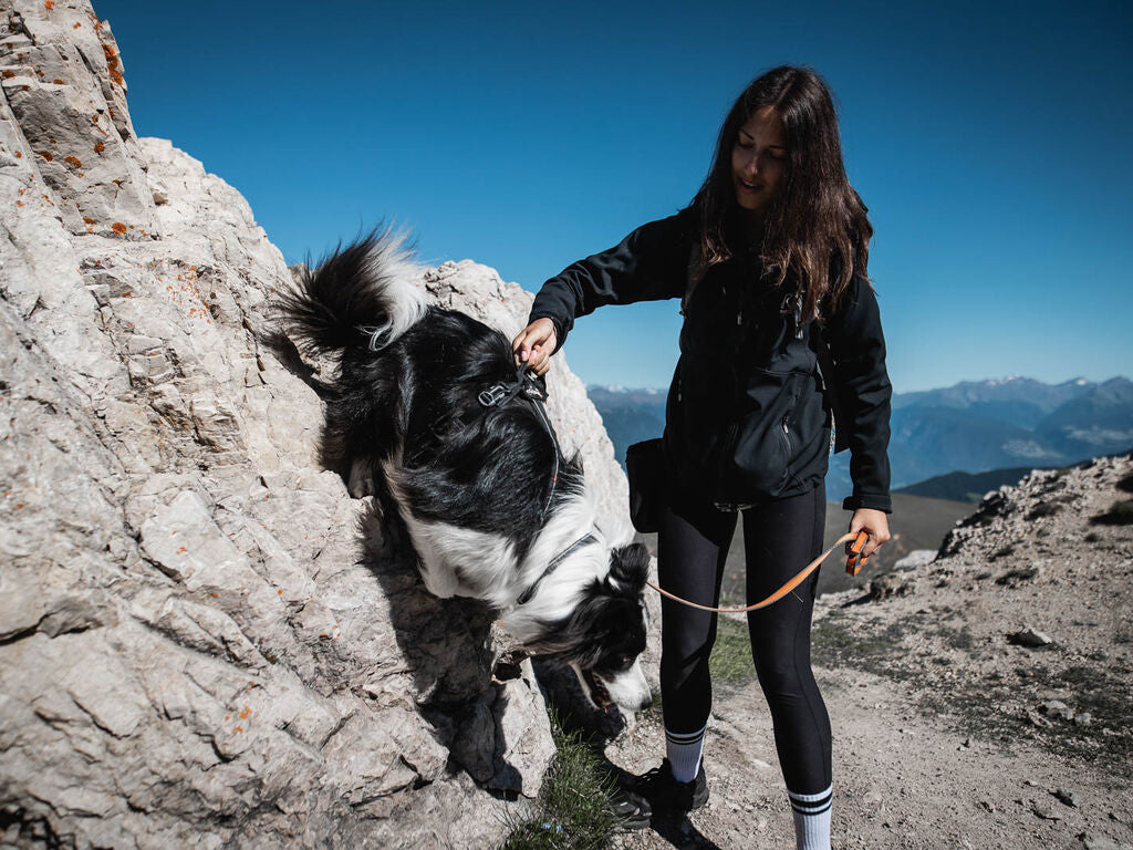 Non-Stop Dogwear Line Harness Grip