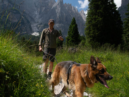 Non-Stop Dogwear Line Harness Grip