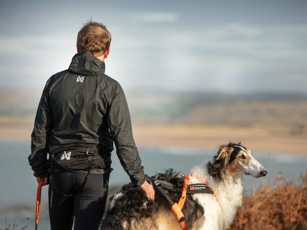 Non-Stop Dogwear Trail Light Belt: One Size