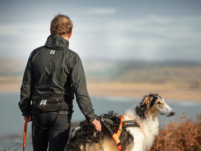 Non-Stop Dogwear Trail Light Belt: One Size