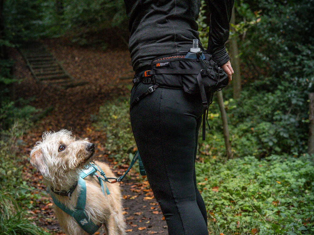 Non-Stop Dogwear Trail Light Belt: One Size