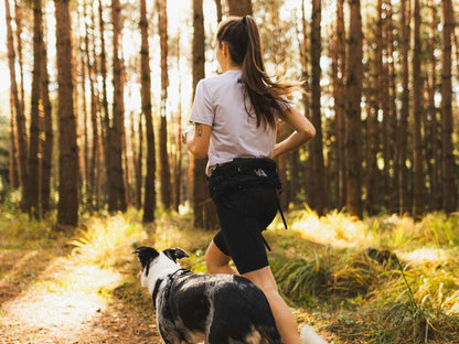 Non-Stop Dogwear Trail Light Belt: One Size
