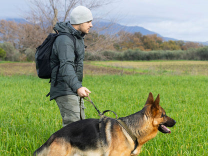 Non-Stop Dogwear Touring Bungee Leash