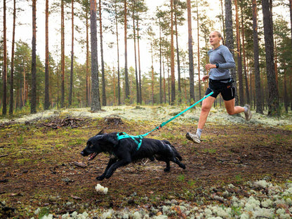 Non-Stop Dogwear Bungee Leash