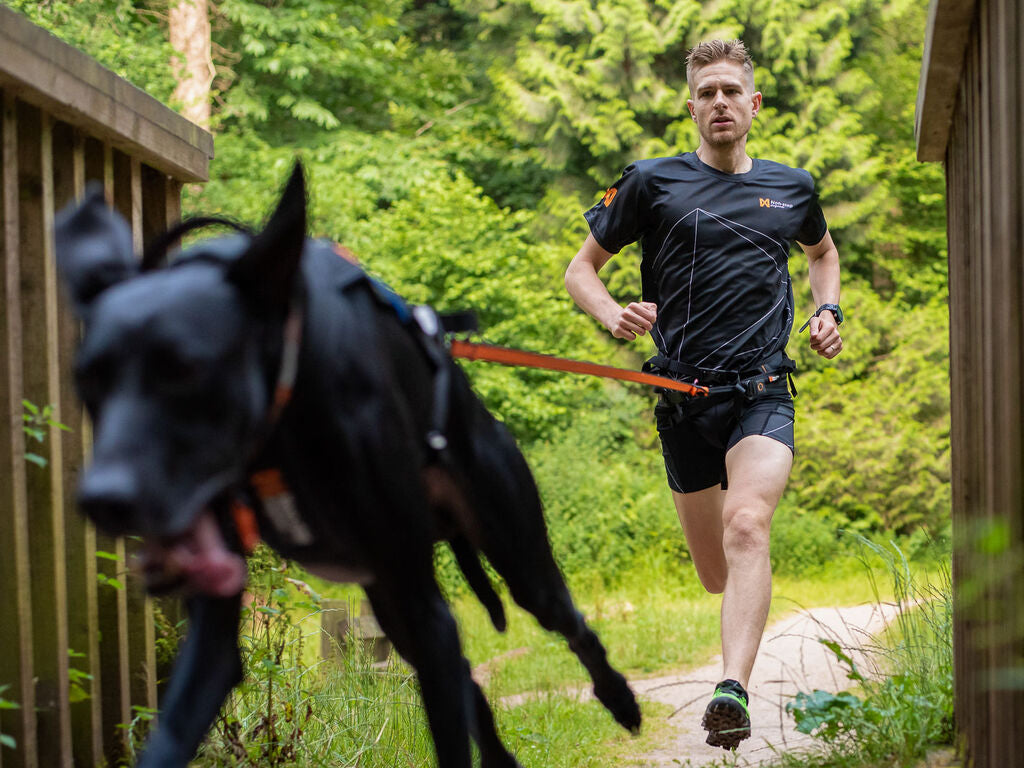Non-Stop Dogwear Bungee Leash