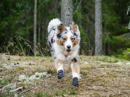 Non-Stop Dogwear Protector Bootie