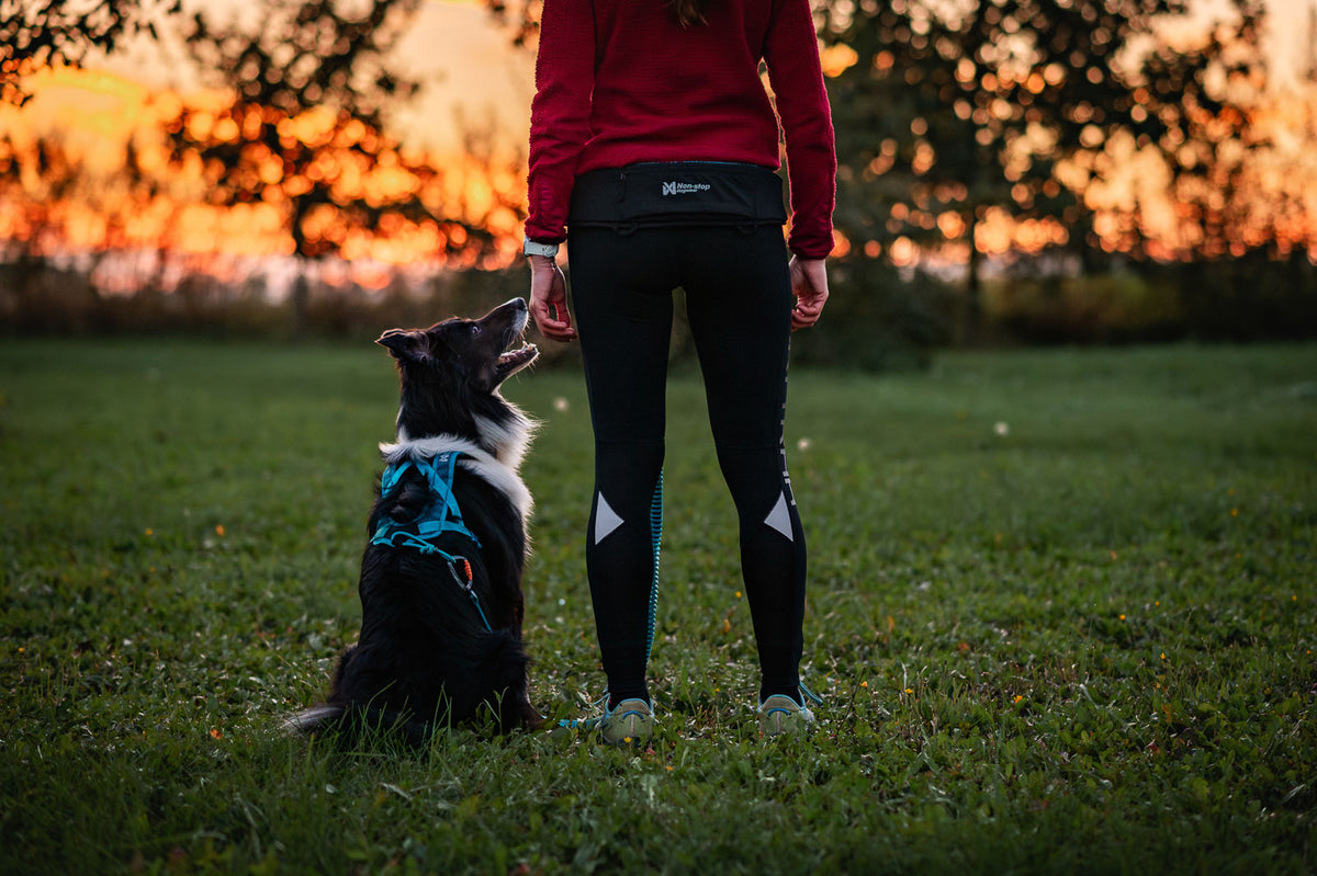Non-Stop Dogwear Rush Harness