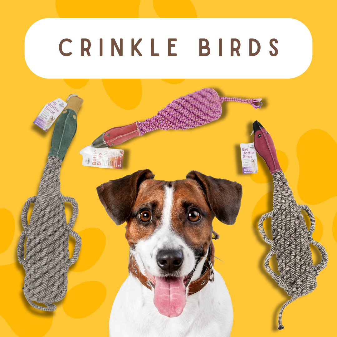 Eco-friendly Recycled Bottle Crinkle Bird Toys Pet-Safe
