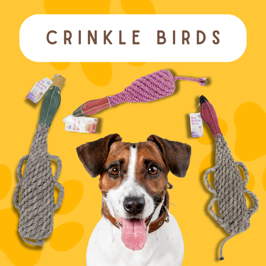 Eco-friendly Recycled Bottle Crinkle Bird Toys Pet-Safe