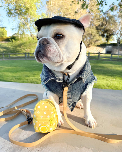 2-in-1 Soft Poop Bag Dispenser Treat Bag Mini Backpack