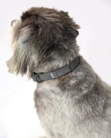 Soft-Touch Waterproof Dog Collar (Small, Medium, Large Dogs)