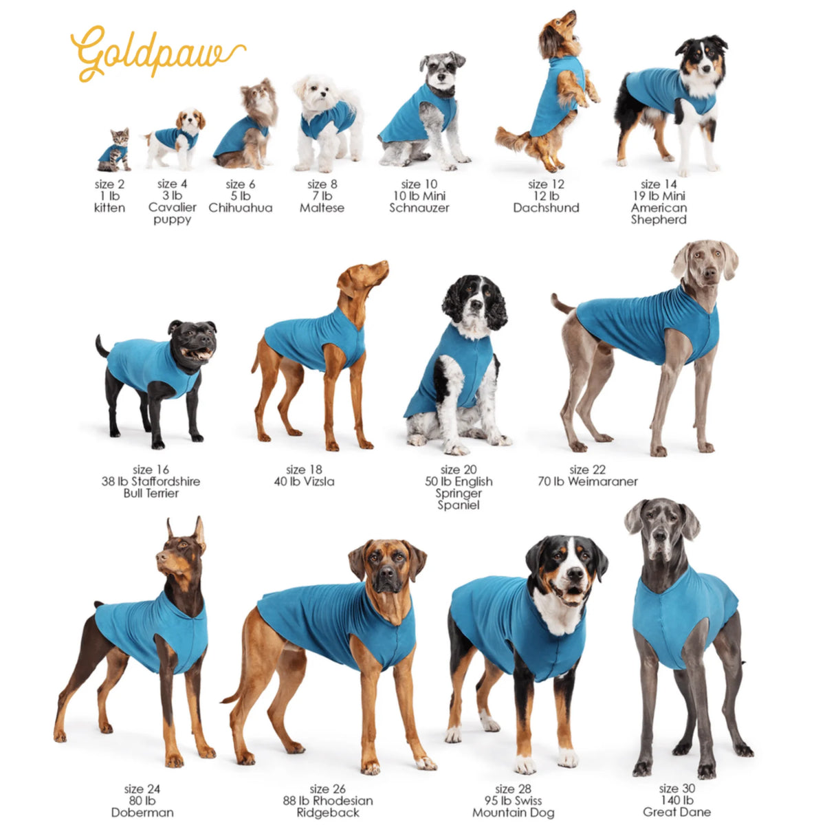 GoldPaw Double Fleece- Reversible!