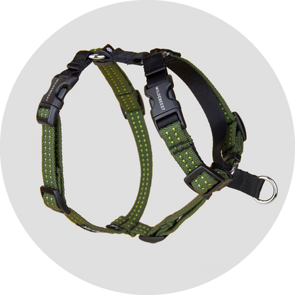 Valencia No Pull Dog Harness