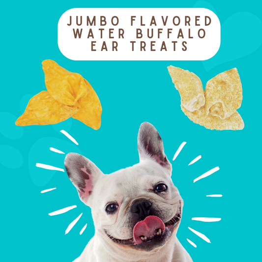 Jumbo Flavored Water Buffalo Ear Treat: Peanut Butter