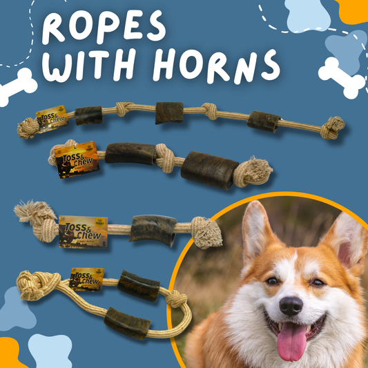 Rope with Water Buffalo Horns! 12"