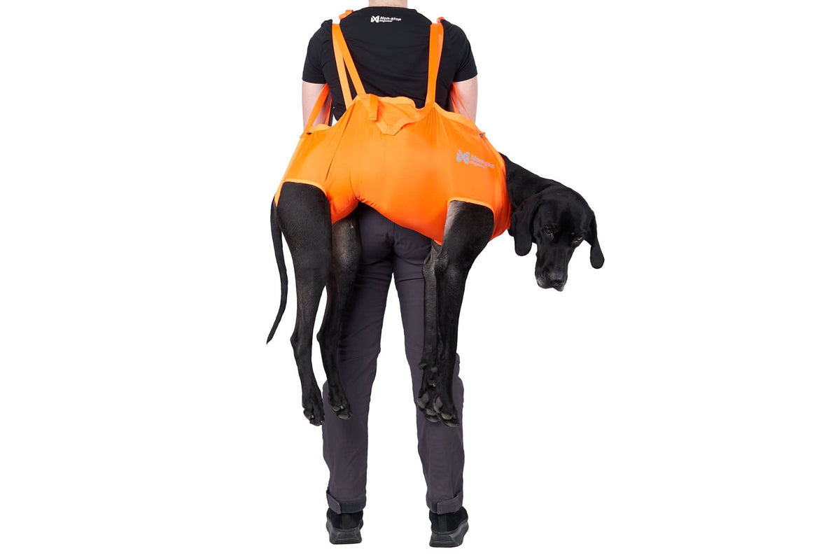 Non-Stop Dogwear Rescue Sling