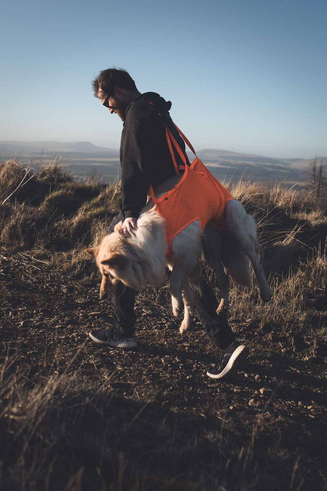 Non-Stop Dogwear Rescue Sling