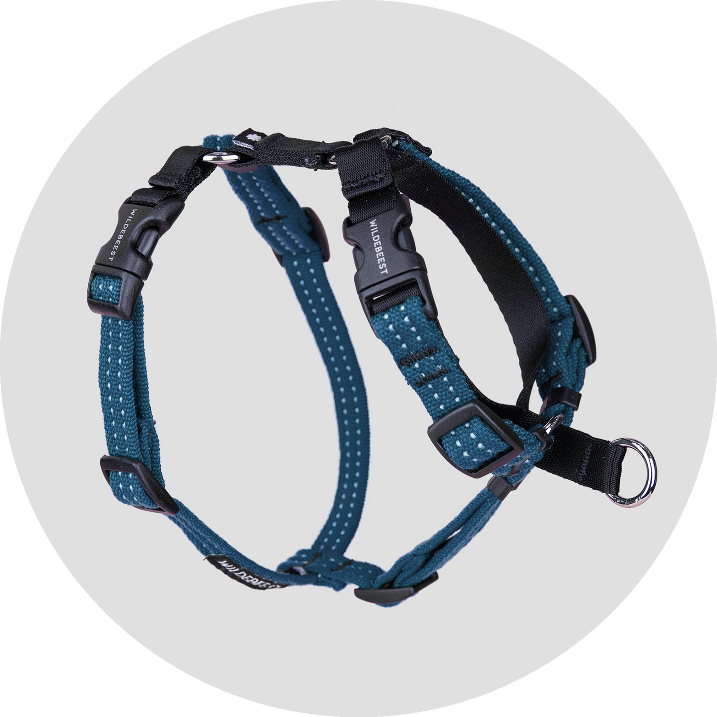 Valencia No Pull Dog Harness