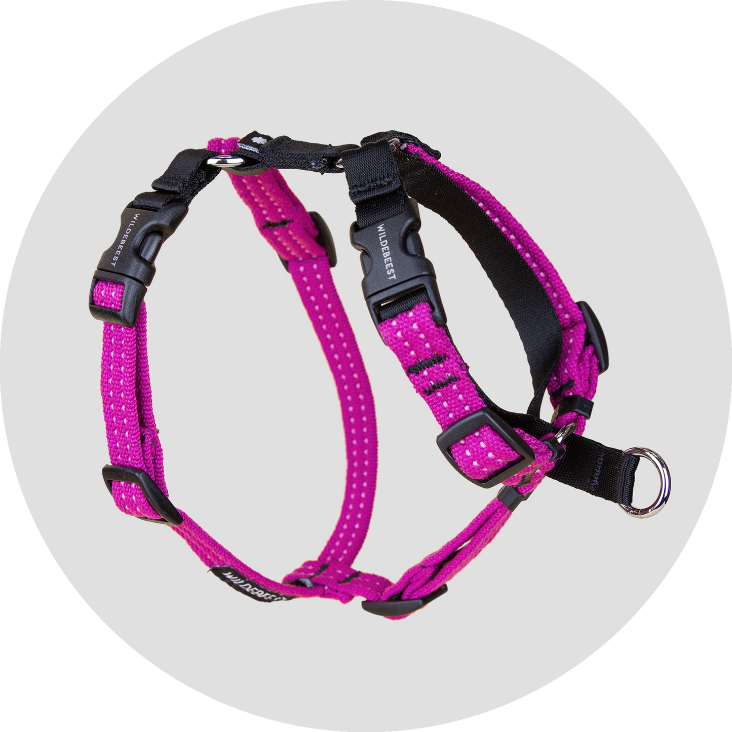 Valencia No Pull Dog Harness