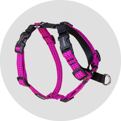 Valencia No Pull Dog Harness