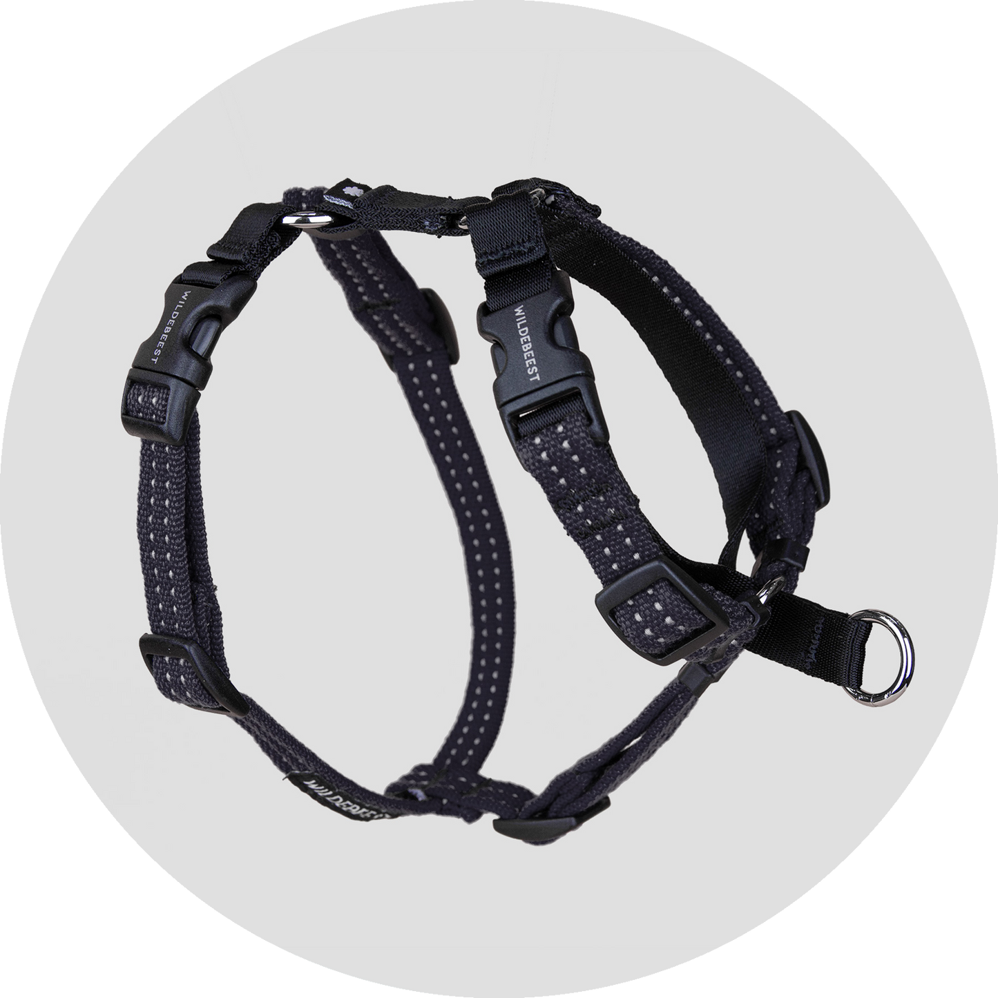 Valencia No Pull Dog Harness