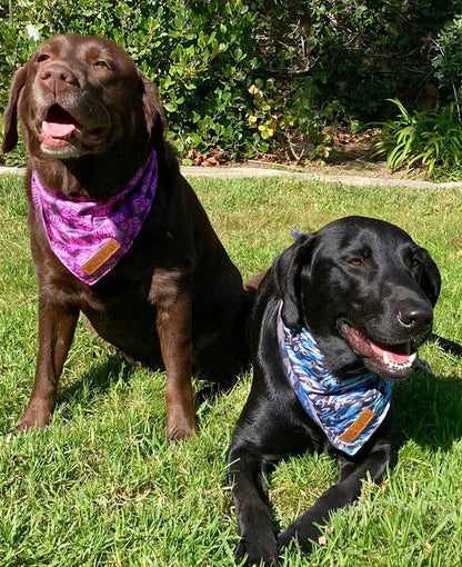 Bandana - This Way Blue: Blue / L - 24 inch