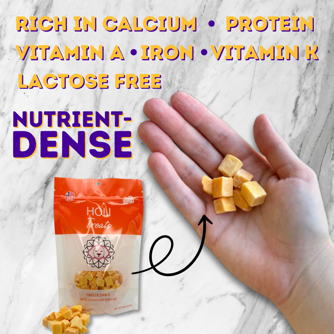 HOLI Cheddar Cheese Freeze-Dried Dog Treats