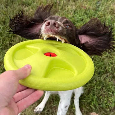 Flyer Floating Frisbee