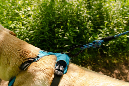 30 Inch Rope Leash