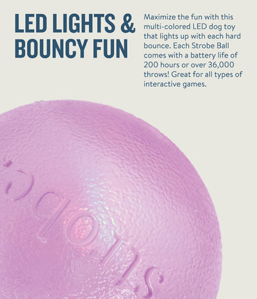 Orbee-Tuff Strobe Ball Light Up Dog Toy, Purple