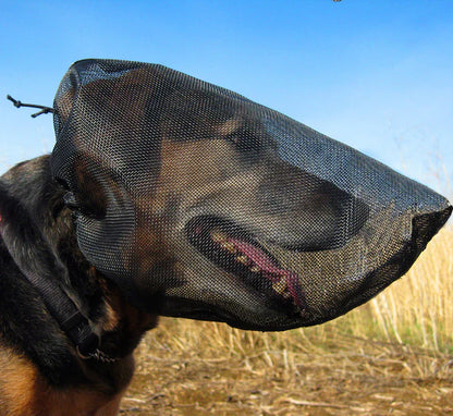 A dog wearing a black foxtail hood designed to protect the eyes, ears, and nose from plant seed penetration.