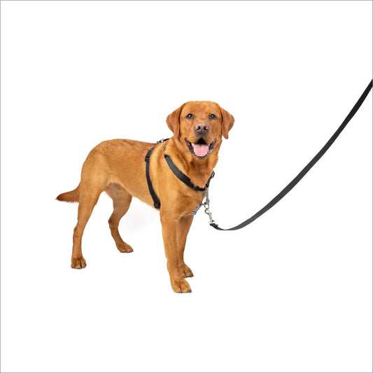 Petsafe 3-in-1 Harness
