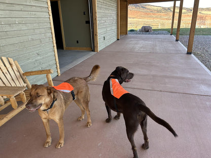 Visibility Vest