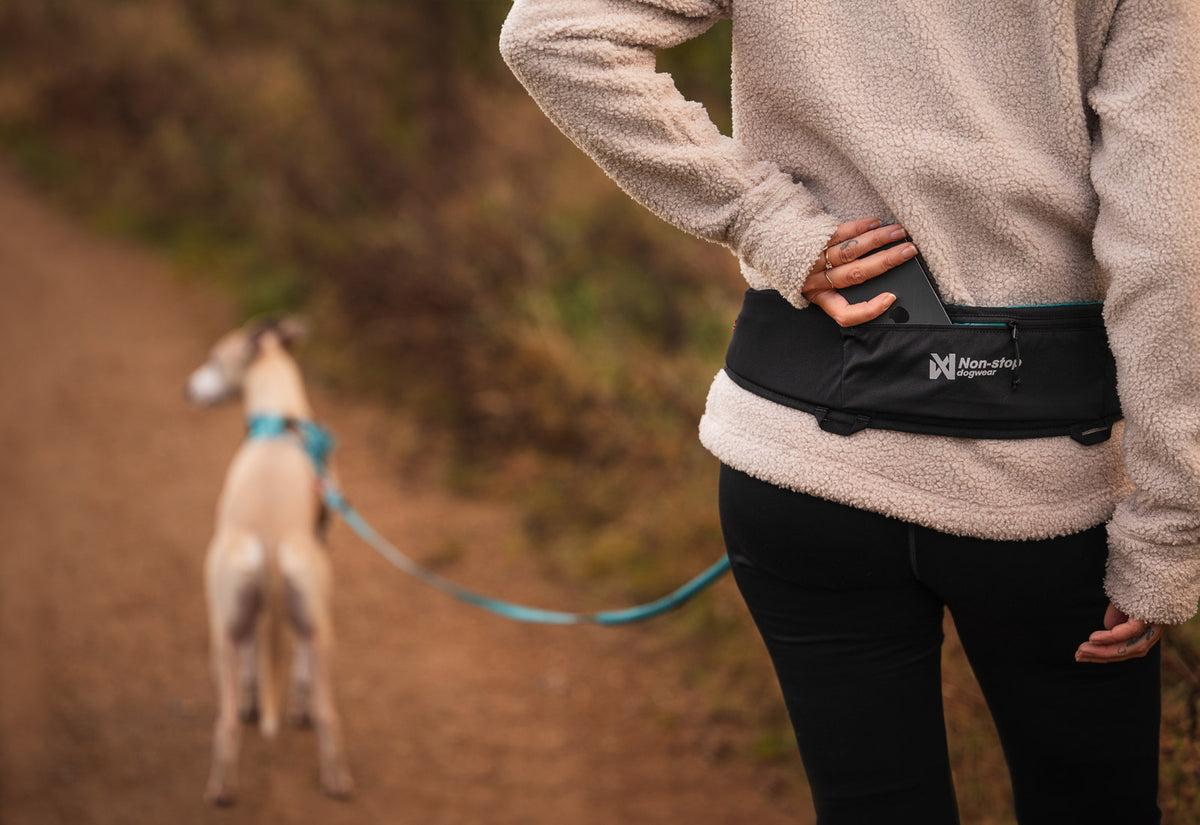Non-Stop Dogwear Rush Belt