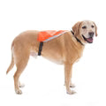 Visibility Vest