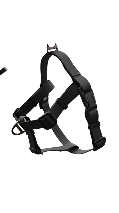 Waterproof Adventure Harness