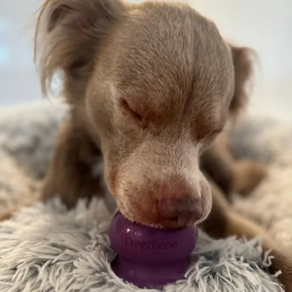 Freezeball
